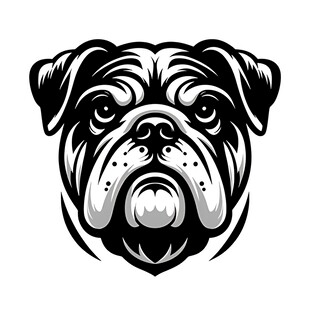 斗牛犬头像图案设计