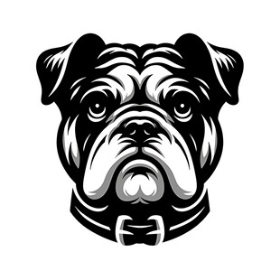 黑白斗牛犬头像