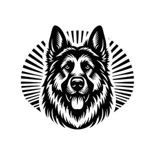 黑白风格的牧羊犬头像