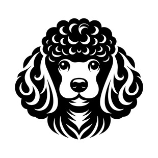 贵宾犬黑白简约头像