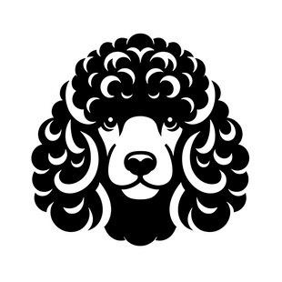 贵宾犬黑白简约头像