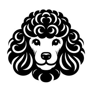 贵宾犬黑白简约头像