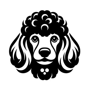 贵宾犬黑白简约头像