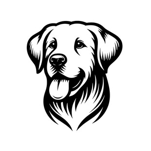 微笑的金毛犬头像