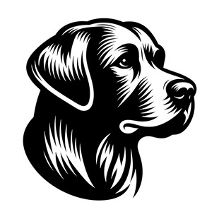 拉布拉多犬头部黑白插画