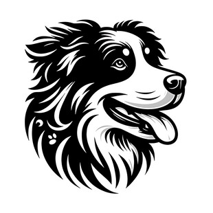 黑白边牧犬头部图案