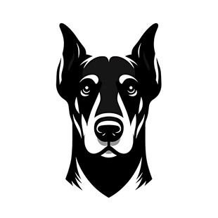 杜宾犬头像矢量插画