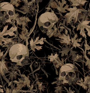 骷髅与落叶的神秘景象