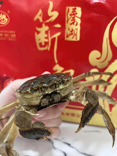 大闸蟹