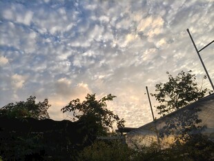 黄昏时分的天空与树木