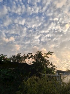 夕阳下的树林与天空美景