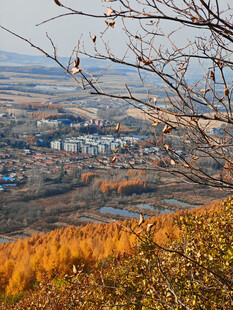 秋日山坡俯瞰城镇美景
