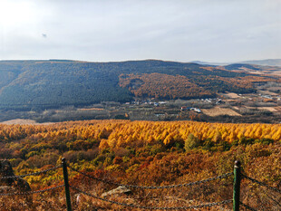 秋日山林美景俯瞰