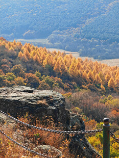 秋日悬崖边的绚烂山林景色