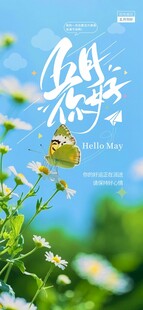 五月你好