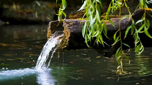 溪边流水