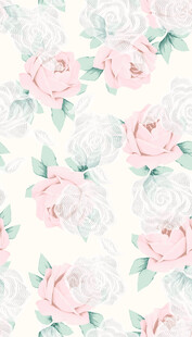 粉色花卉  玫瑰