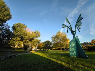 公园中的独特雕塑景观