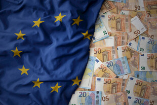 欧盟旗帜与欧元纸币