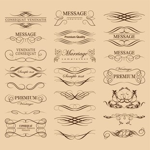 复古装饰性花纹标志集合