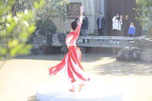 红衣舞者优雅起舞