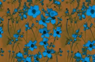 蓝色花卉图案背景纹理