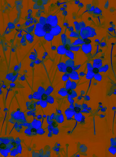 蓝色花卉图案背景纹理