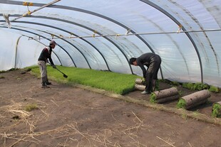 温室农业