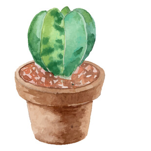 水彩绘心形仙人掌盆栽