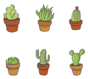 可爱盆栽仙人掌集合