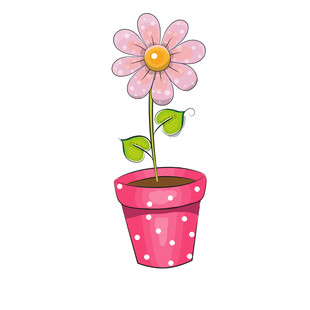 粉色花盆中的可爱小花