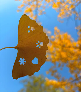 银杏叶上的图案
