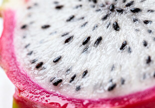 切开的火龙果果肉特写