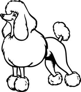 贵宾犬卡通形象