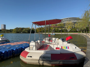 湖畔彩色脚踏船停靠岸边