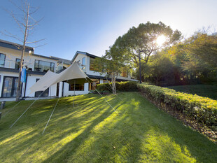 阳光照耀下的美丽庭院