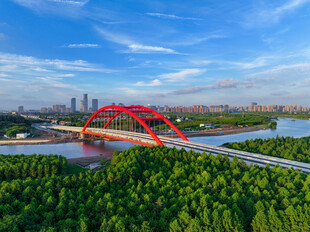 城市红桥横跨绿意河畔