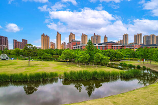 城市湖畔的美丽建筑景观