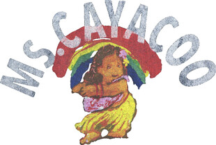 MS CAYAGO卡通形象标志