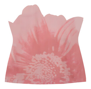 粉色花朵白墨直喷烫画