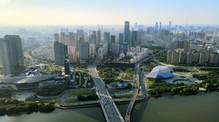 城市天际线与桥梁景观