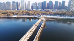 城市湖景中的长桥风光