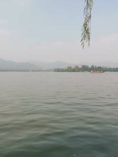 湖畔垂柳碧波浩渺之景