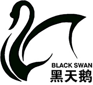 黑天鹅logo
