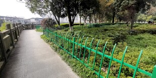 绿色围栏旁的幽静小路