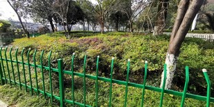 绿色围栏环绕的园林景观