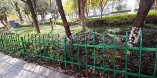绿色铁艺栅栏 树木环绕