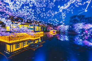 梦幻夜景中的璀璨中式建筑