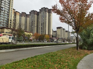 秋日城市街道旁的高楼景观