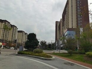 城市街道旁的高楼景观